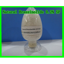 Натуральный Brassinolide 0,2% Sp-Plant Growth Regulator
